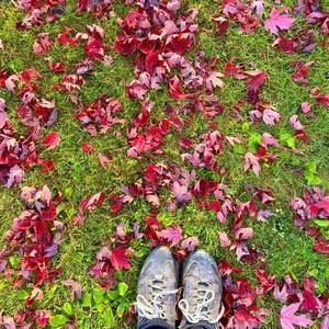 Meet your Posher, Wafa